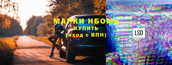 гидропоника Алзамай