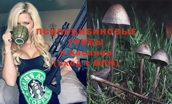 мдпв Алексин